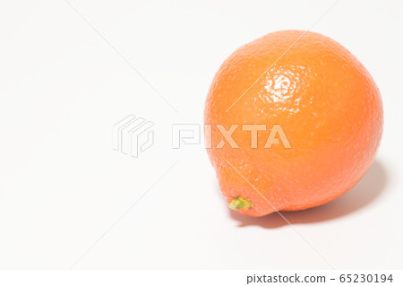 Mineola Orange Fruit 65230194