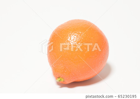 Mineola Orange Fruit Mineola Orange Fruit 65230195