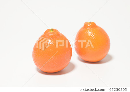 Mineola Orange Fruit Mineola Orange Fruit 65230205