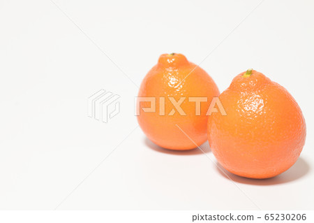 Mineola Orange Fruit Mineola Orange Fruit 65230206