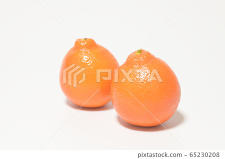 Mineola Orange Fruit 65230208