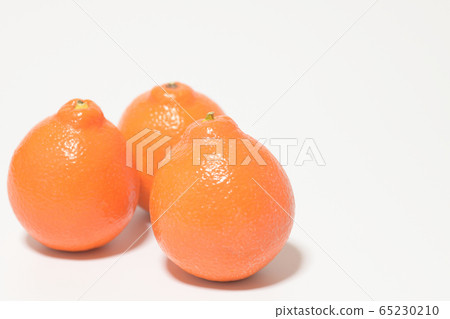 Mineola Orange Fruit Mineola Orange Fruit 65230210