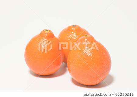 Mineola Orange Fruit 65230211