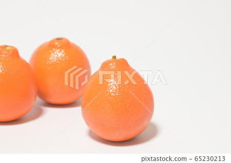 Mineola Orange Fruit Mineola Orange Fruit 65230213