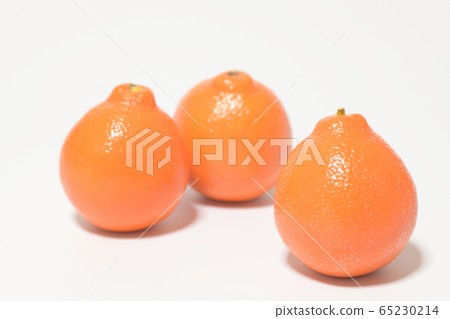 Mineola Orange Fruit 65230214