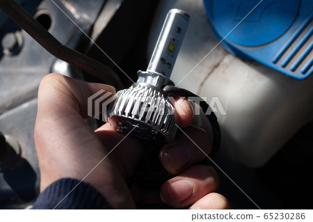 Light bulbs for car lamps. Light bulbs for car lamps. 65230286