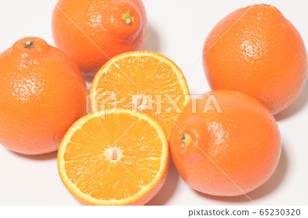Mineola Orange Fruit Mineola Orange Fruit 65230320