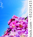 Pink flowers ② 65231415