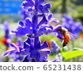 Flowers and bees ② 65231438