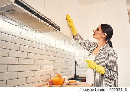 Positive delighted female person cleaning her kitchen Positive delighted female person cleaning her kitchen 65233148