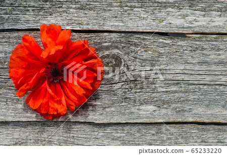 National american holiday Memorial Day concept. 65233220