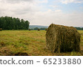 Coil hay on a green field against the cloudy sky 65233880