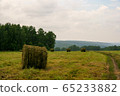 Coil hay on a green field against the cloudy sky 65233882
