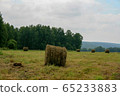 Coil hay on a green field against the cloudy sky 65233883