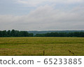 Meadow with mown grass blue sky and forest in the background 65233885
