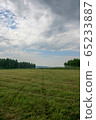 Meadow with mown grass blue sky and forest in the background 65233887
