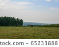 Meadow with mown grass blue sky and forest in the background 65233888