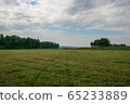 Meadow with mown grass blue sky and forest in the background 65233889