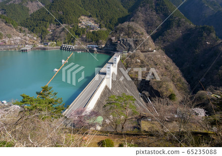 頂峰廣場的櫻奧多摩湖風光 頂峰廣場的櫻奧多摩湖風光 65235088