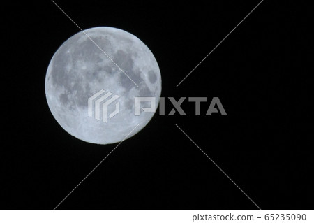 花月亮（2020.5） 65235090