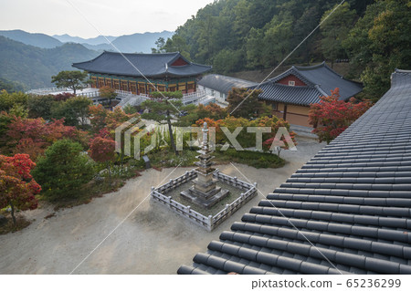 石鐘寺,佛教,宗教 石鐘寺,佛教,宗教 65236299