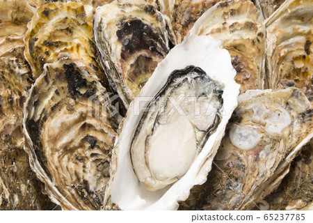 Fresh and tasty raw oysters Fresh and tasty raw oysters 65237785