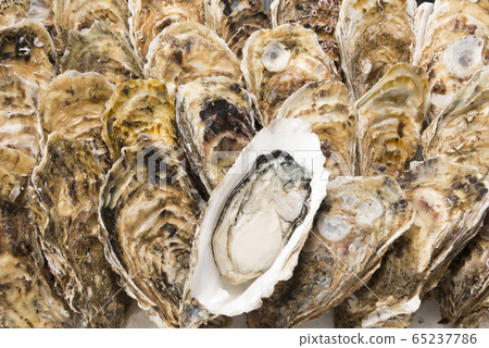 Fresh and tasty raw oysters 65237786