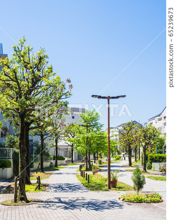 房屋/居住/城鎮垂直位置的圖像 65239673