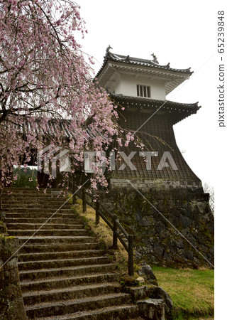 Iwamura Castle Ruins Iwamura Castle Ruins 65239848
