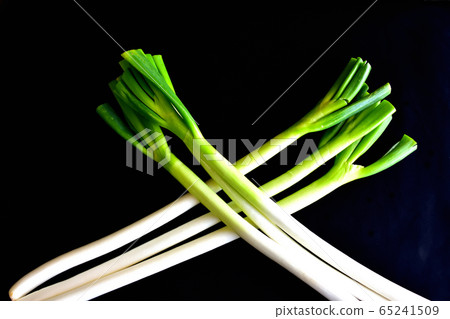 Japanese leek  65241509