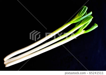 Japanese leek  65241511