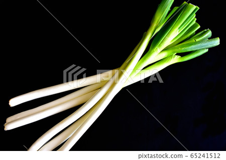 Japanese leek  Japanese leek  65241512