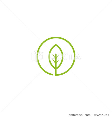 Leaf icion logo design template 65245034