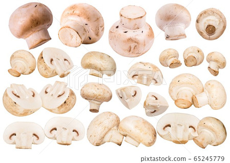 Fresh champignon mushrooms isolated on white Fresh champignon mushrooms isolated on white 65245779