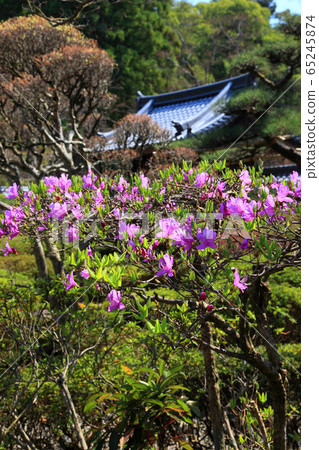 Kotosanzan Saimyoji Temple in spring Kotosanzan Saimyoji Temple in spring 65245874