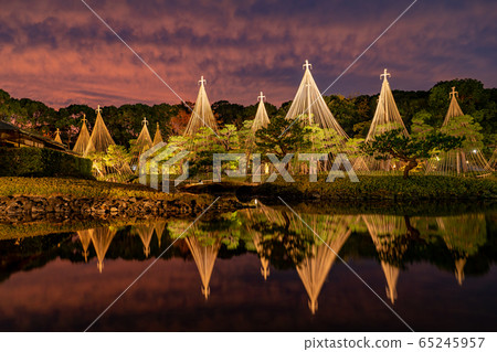 Aichi Prefecture, Nagoya City, Shirotori Garden, snow-capped evening view, illuminated autumn leaves Aichi Prefecture, Nagoya City, Shirotori Garden, snow-capped evening view, illuminated autumn leaves 65245957