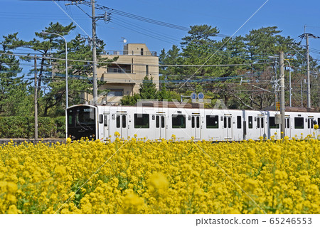 Fukufu no Sato Rape Fukufu no Sato Rape 65246553