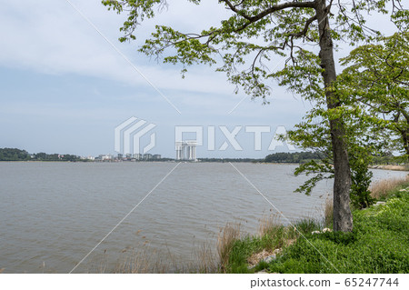 Gyeongpoho lake trails 65247744