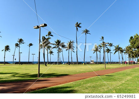 Holidays in Hawaii Holidays in Hawaii 65249981