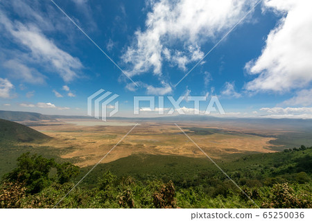 從主要天文台看到的坦桑尼亞恩戈羅恩戈羅火山口的視圖 65250036