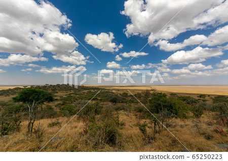 View of Ngorongoro from the top of the park gate in Serengeti, Tanzania 65250223