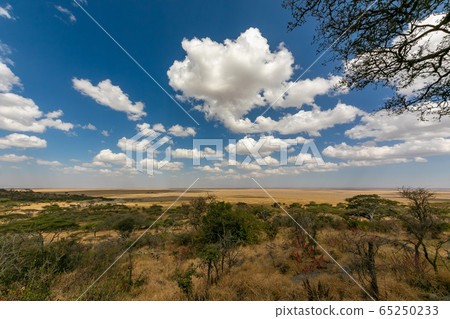 View of Ngorongoro from the top of the park gate in Serengeti, Tanzania View of Ngorongoro from the top of the park gate in Serengeti, Tanzania 65250233