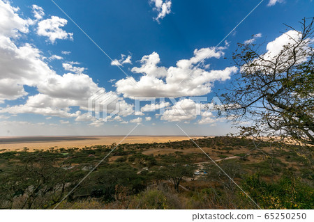 View of Ngorongoro from the top of the park gate in Serengeti, Tanzania 65250250