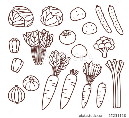 Vegetable hand drawn line drawing set Vegetable hand drawn line drawing set 65251118