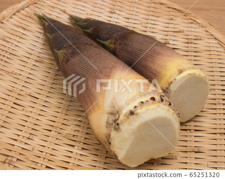 竹筍 竹筍 65251320