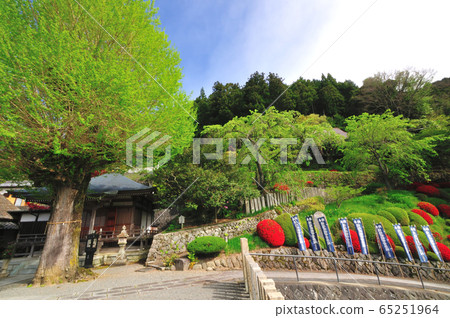 紀州Ho越觀音 65251964