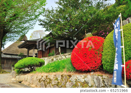 Kishu Horikoshi Kannon Kishu Horikoshi Kannon 65251966