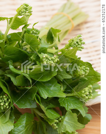 Flower wasabi 65252178