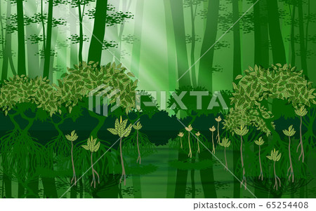 landscape of a mangrove forest at the beach at daytime 65254408