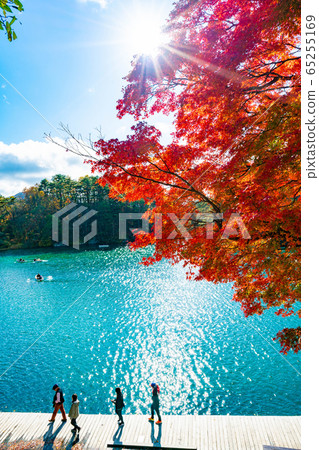 Gishikinuma Bishamonnuma Bandai Aozora autumn leaves boat Bishamon-numa Pond 65255169